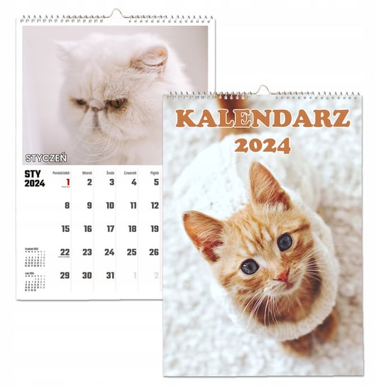 Kalendarz ścienny 2024 miesięczny A3 Propaganda Koty kotki Propaganda