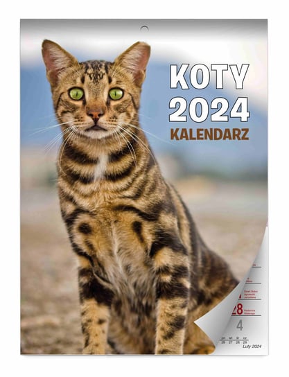 Kalendarz ścienny 2024 miesięczny A4 KALPOL.BIS kalendarze Koty KALPOL.BIS kalendarze