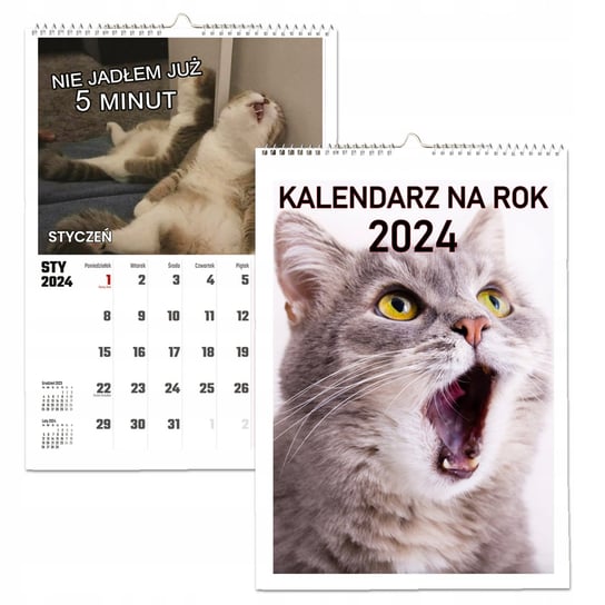 Kalendarz ścienny 2024 miesięczny A4 Propaganda Śmieszne Koty Propaganda
