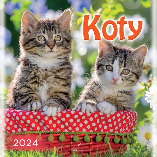 Kalendarz ścienny 2024 miesięczny Artsezon Koty Artsezon