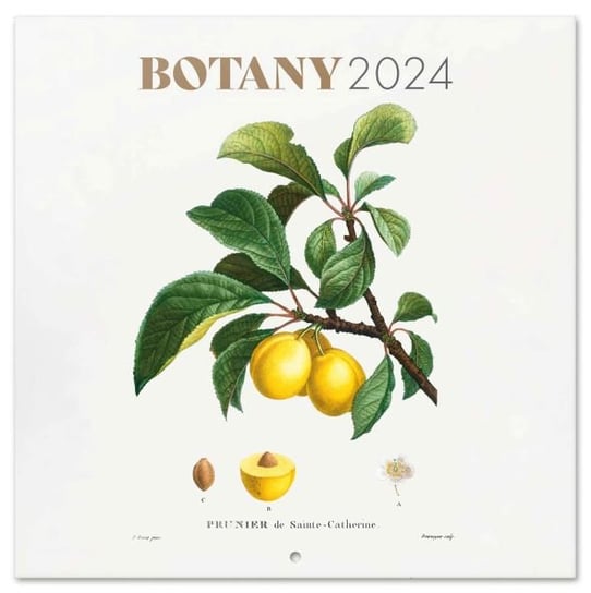 Kalendarz ścienny 2024 miesięczny Grupo Erik Botanika Grupo Erik