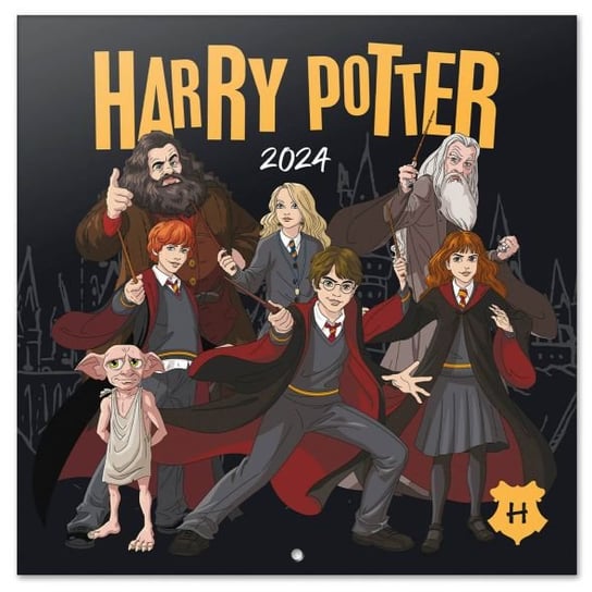 Kalendarz ścienny 2024 miesięczny Grupo Erik Harry Potter Grupo Erik