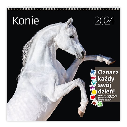 Kalendarz ścienny 2024 miesięczny Helma 365 konie Helma 365