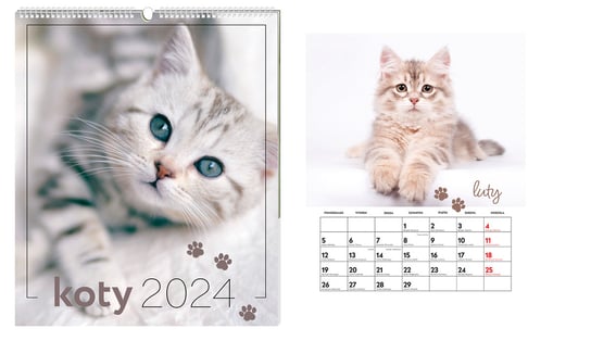 Kalendarz ścienny 2024 miesięczny Interdruk  Koty Interdruk