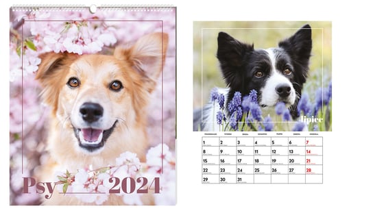 Kalendarz ścienny 2024 miesięczny Interdruk Psy Interdruk