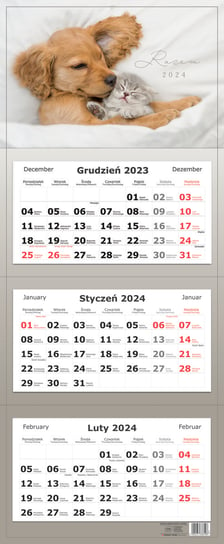 Kalendarz ścienny 2024 miesięczny Interdruk Razem zwierzęta Interdruk