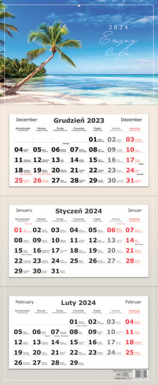 Kalendarz ścienny 2024 miesięczny Interdruk Widoki Interdruk
