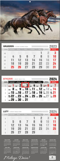 Kalendarz ścienny 2024 miesięczny Pan Kalendarzyk konie Pan Kalendarzyk