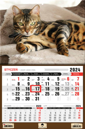 Kalendarz ścienny 2024 miesięczny Pan Kalendarzyk Kot Pan Kalendarzyk