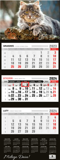 Kalendarz ścienny 2024 miesięczny Pan Kalendarzyk kot Pan Kalendarzyk