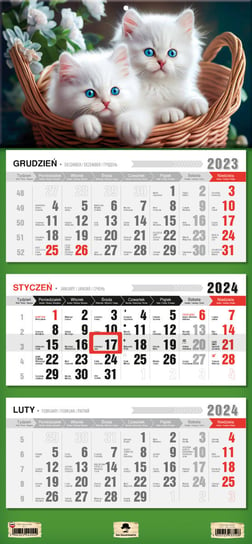 Kalendarz ścienny 2024 miesięczny Pan Kalendarzyk kotki Pan Kalendarzyk