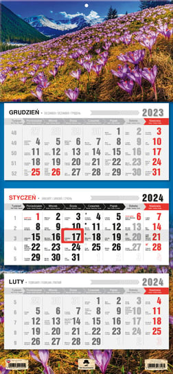Kalendarz ścienny 2024 miesięczny Pan Kalendarzyk Krokusy Pan Kalendarzyk