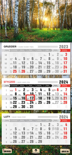 Kalendarz ścienny 2024 miesięczny Pan Kalendarzyk Las Pan Kalendarzyk