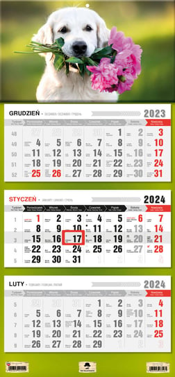 Kalendarz ścienny 2024 miesięczny Pan Kalendarzyk Pies Pan Kalendarzyk