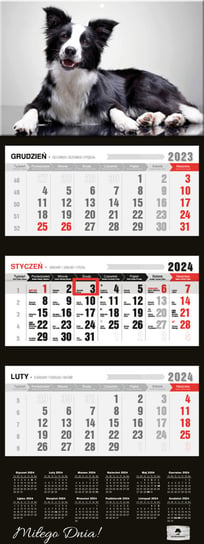 Kalendarz ścienny 2024 miesięczny Pan Kalendarzyk Pies Pan Kalendarzyk