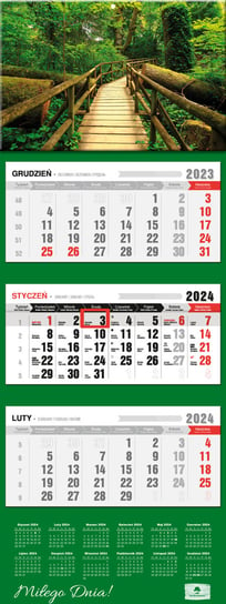 Kalendarz ścienny 2024 miesięczny Pan Kalendarzyk Uroczy Las Pan Kalendarzyk