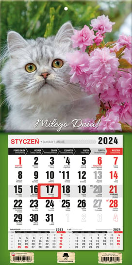 Kalendarz ścienny 2024 miesięczny Pan Kalendarzyk Z Magnesem kot Pan Kalendarzyk