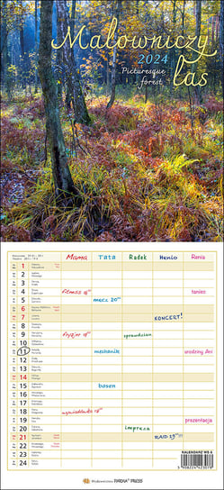 Kalendarz ścienny 2024 miesięczny Parma Press malowniczy las Parma Press