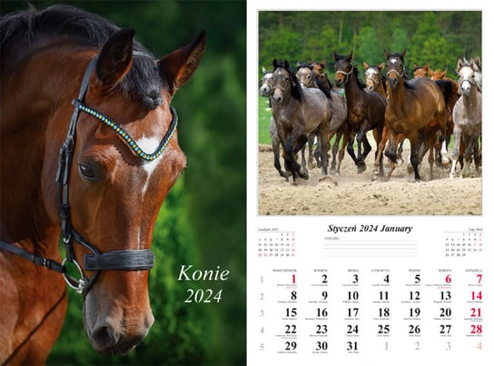 Kalendarz ścienny 2024 miesięczny Radwan konie Radwan