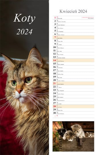 Kalendarz ścienny 2024 miesięczny Radwan Koty Radwan