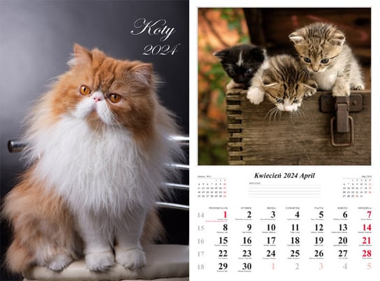 Kalendarz ścienny 2024 miesięczny Radwan Koty Radwan