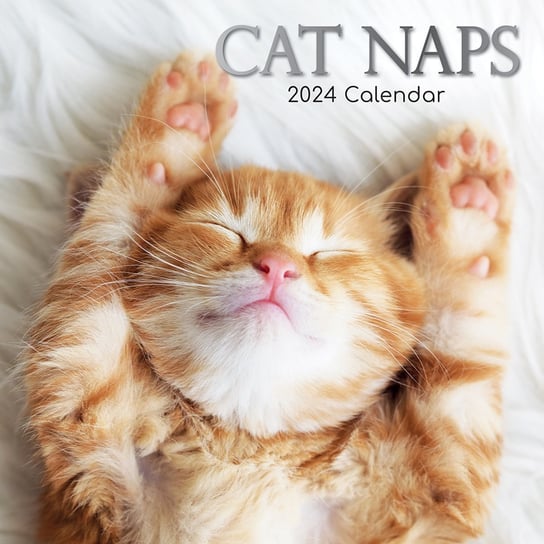 Kalendarz ścienny 2024 miesięczny THE GIFTED Koty kotki THE GIFTED