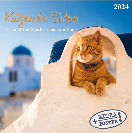Kalendarz ścienny 2024 miesięczny TUSHITA Verlags Greckie Koty TUSHITA