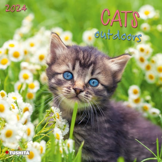 Kalendarz ścienny 2024 miesięczny TUSHITA Verlags Outdoors Koty TUSHITA
