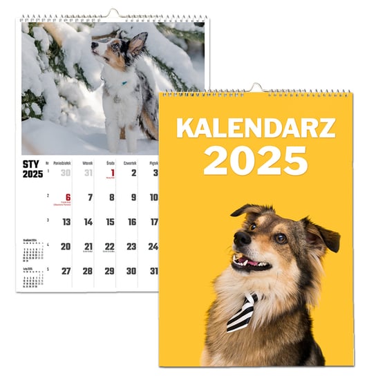 KALENDARZ ŚCIENNY 2025 A4 PSY PIESKI TERMINARZ PREZENT UPOMINEK URODZINY Inna marka