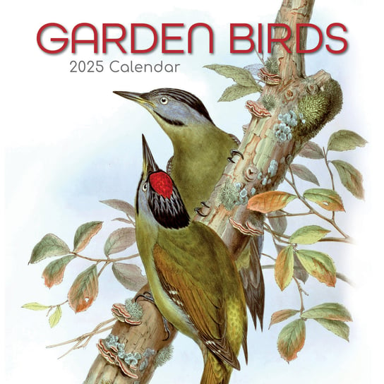 Kalendarz ścienny 2025 Garden Birds Ogród Ptaki 30x30 Inna marka