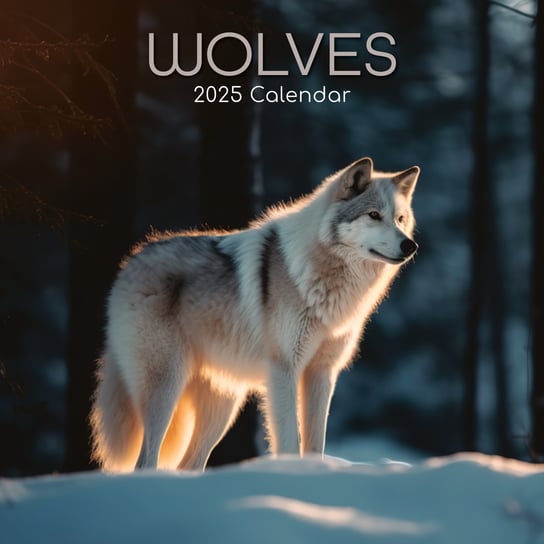 Kalendarz ścienny 2025 Wilki Wolves 30x30 Inna marka