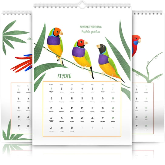 Kalendarz ścienny A3 30x42cm 2024 Kalendarz z ptakami ozdobnymi Inna marka