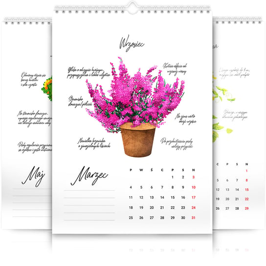 Kalendarz ścienny A3 30x42cm 2024 Kalendarz z roślinami balkonowymi Inna marka