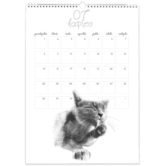 Kalendarz ścienny A3 30x42cm 2024 Katlendarz z kotami Inna marka