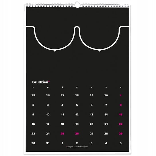 Kalendarz ścienny A3 Rodzaje piersi Czarny Inna marka