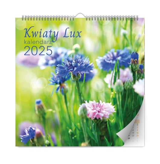 Kalendarz cienny Kwiaty Lux 2025 Inna Marka Sklep EMPIK COM kalendarz-cienny-kwiaty-lux-2025-inna-marka-sklep-empik-com