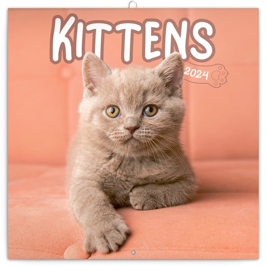 Kalendarz Ścienny Miesięczny, 2024 Kittens Kotki Presco Group