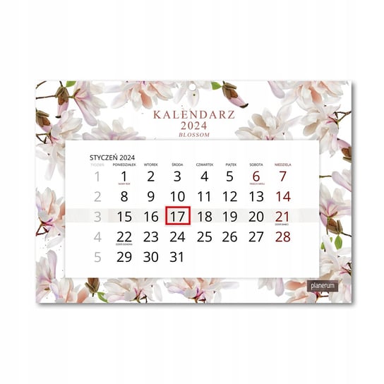 Kalendarz Ścienny Pojedynczy 2024 Blossom A4 / Planerum Inna marka