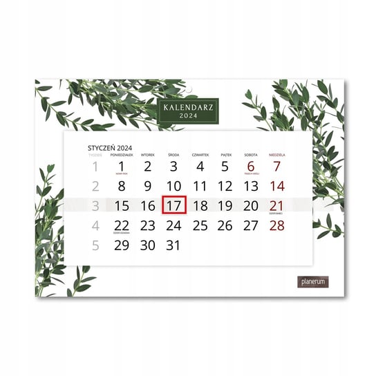 Kalendarz Ścienny Pojedynczy 2024 Eukaliptus A4 / Planerum Inna marka