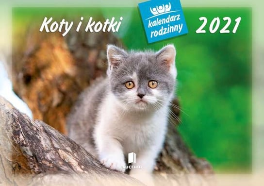 Kalendarz ścienny rodzinny 2021, Koty i kotki Lucrum