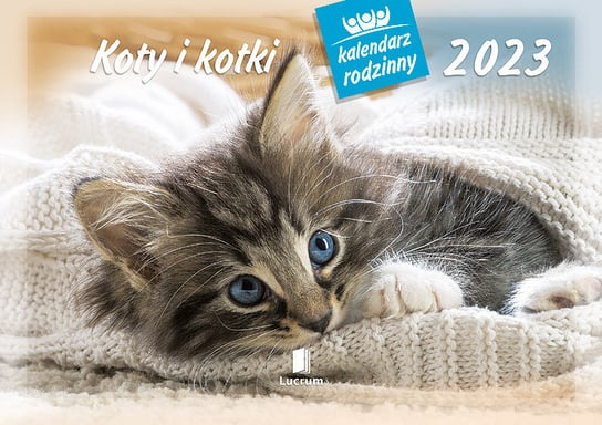 Kalendarz ścienny rodzinny 2023, Koty i kotki Lucrum