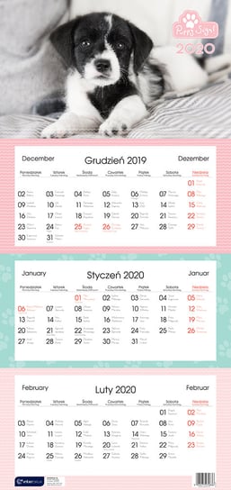 Kalendarz ścienny, trójdzielny 2020, Psy Interdruk