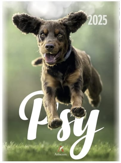 Kalendarz wieloplanszowy Psy 2025 Rozkład miesięczny 23x31cm Artsezon