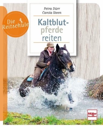 Kaltblutpferde reiten Müller Rüschlikon