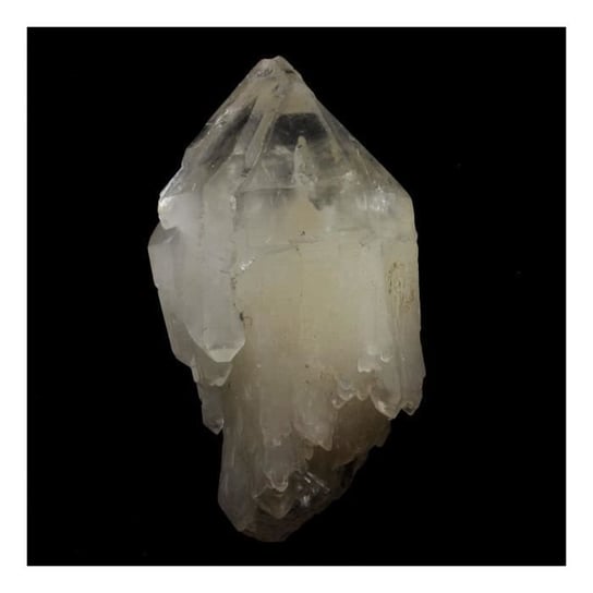 Kamienie i minerały. Kwarcowe berło. 698,0 ct. Kopalnia Les Halles, Vaulnaveys-le-Bas, Isère, Francja.. Inna marka