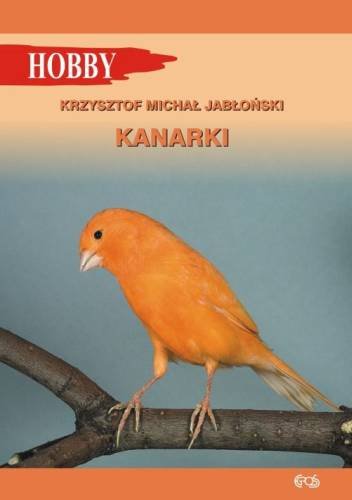 Kanarki Jabłoński Krzysztof Michał