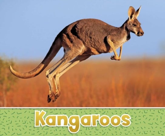 Kangaroos Sara Louise Kras