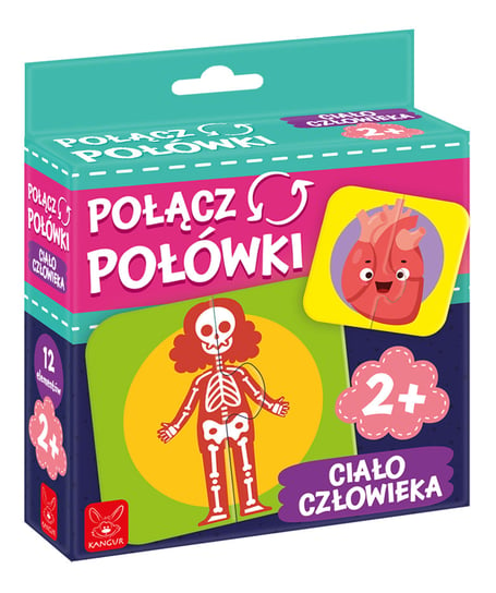 Kangur, gra połącz połówki ciało człowieka Kangur