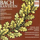 Kantaten BWV 26, 173, 173a Schreier Peter