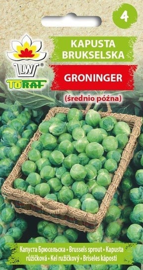 Kapusta brukselka GRONINGER (śr. późna)
Brassica oleracea L. var gemmifera Toraf
